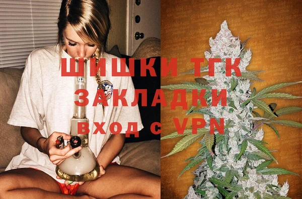 дмт Арсеньев