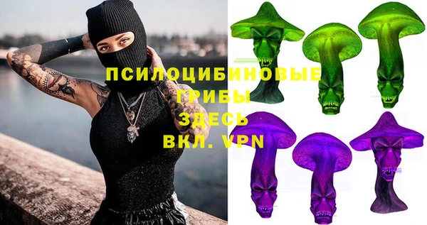 тгк Аркадак
