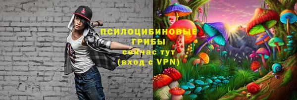 тгк Аркадак