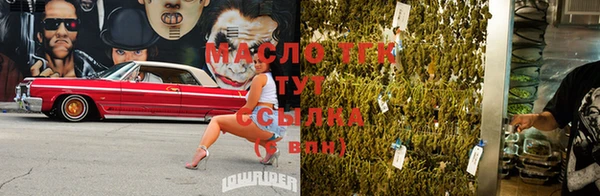 дмт Арсеньев