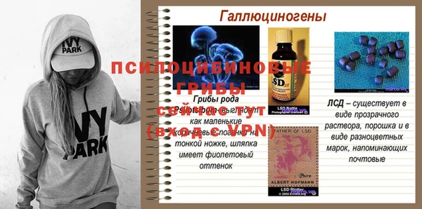 дмт Арсеньев